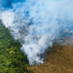 Estudo técnico aponta fragilidades do PL do licenciamento ambiental