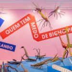 Museu Vale oferece programação gratuita de férias com muita arte no Parque Cultural Casa do Governador