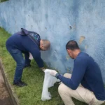 Vigilância Ambiental intensifica combate ao caramujo-africano em Marataízes