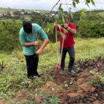 Projeto Reflorestaízes é finalista do Prêmio Biguá de Sustentabilidade 2026