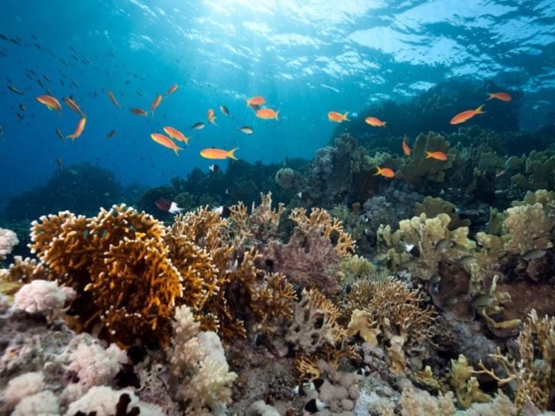 Maior encontro capixaba sobre Ciências Oceânicas será realizado no dia 2 de julho em Vitória